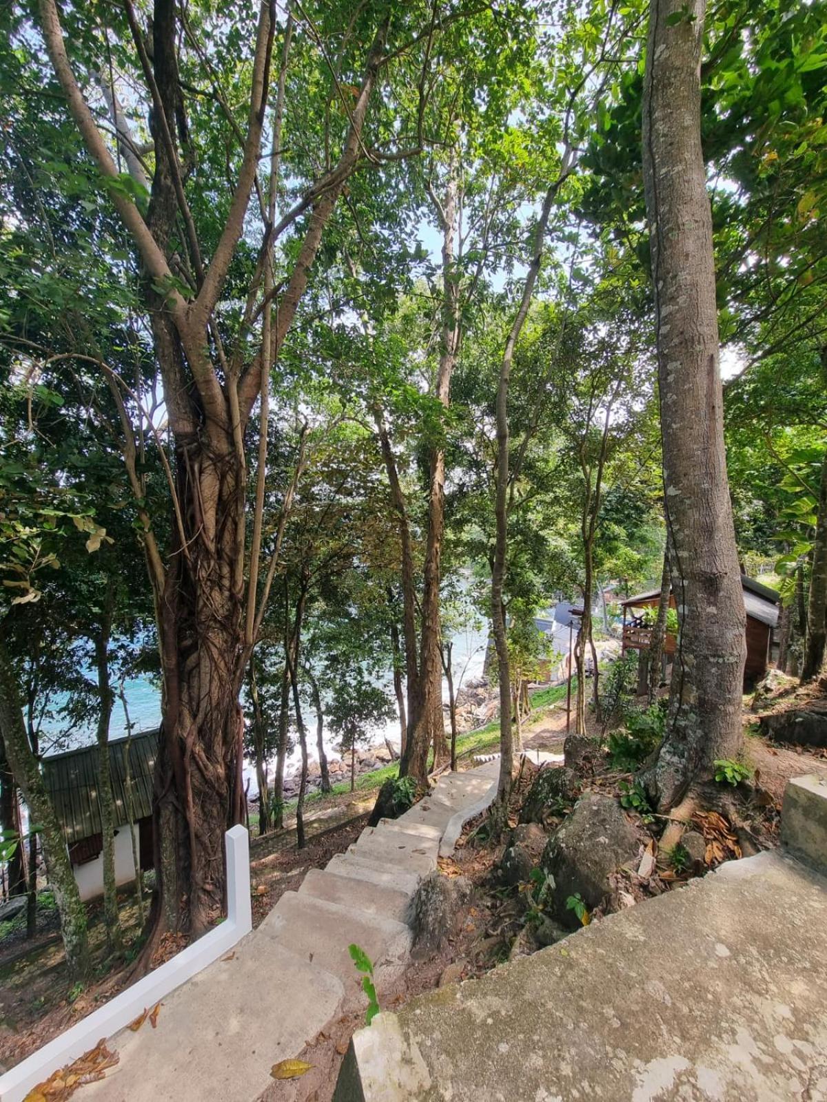 Treetop Guesthouse And Bungalows Sabang  Eksteriør bilde